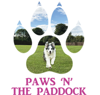 Paws 'N' The Paddock